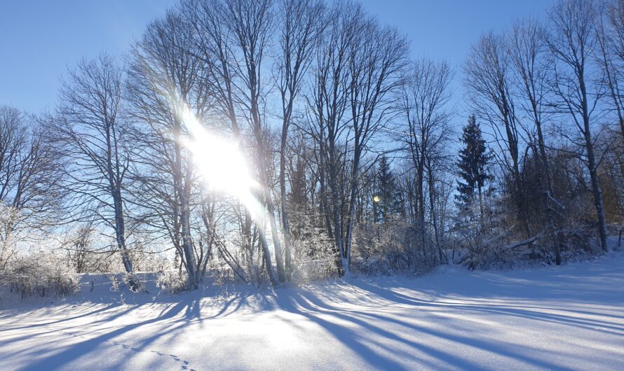 Week-end dans la neige du Haut-Doubs